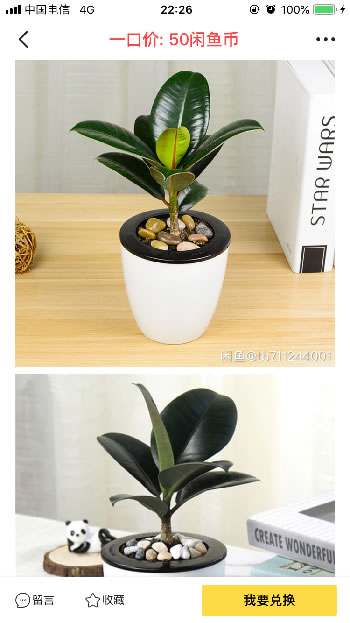 20210303005053161470385349626.jpeg 20210303005053161470385349626.jpeg